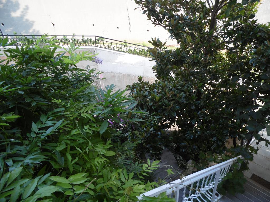 Apartments Slavica Jovanovic Sveti Stefan Phòng bức ảnh